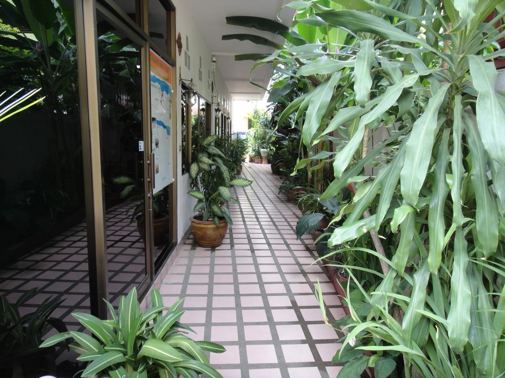 清邁 红芙蓉宾馆酒店 外观 照片